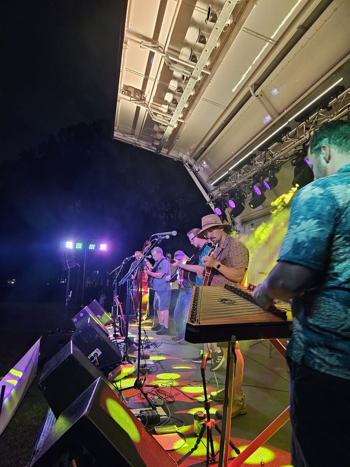 Waynewoodstock 2026 night set — full band on stage under colored stage lights